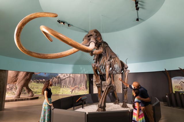 Masked Family With Mammoth